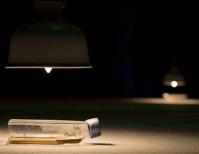 foto: Miran Kramar